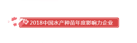 恭喜晨海水產榮獲：2018中國水產種苗年度影響力企業